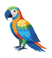 Birds
